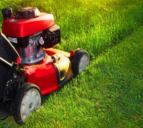 Lawn Mowing Service by Cleanwee Cleaning