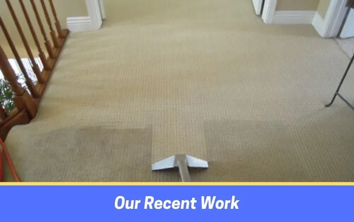 Carpet Cleaning by cleanwee cleaning service