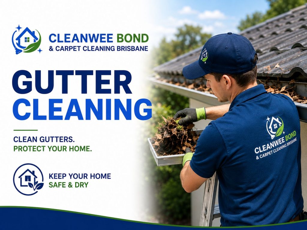Gutter Cleaning
