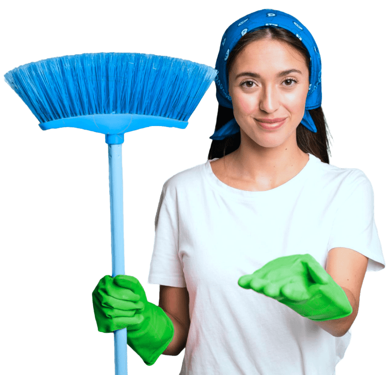 Professional cleaner