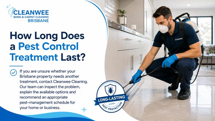 How Long Does a Pest Control Treatment Last?