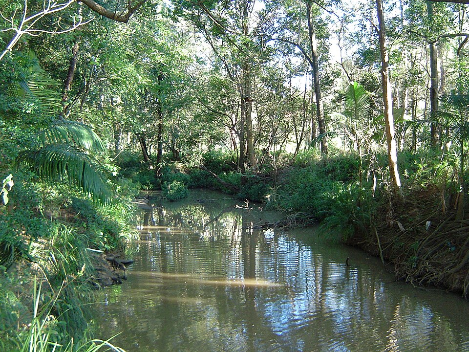 Bulimba Creek at Wecker Road, Mansfield, Brisbane
