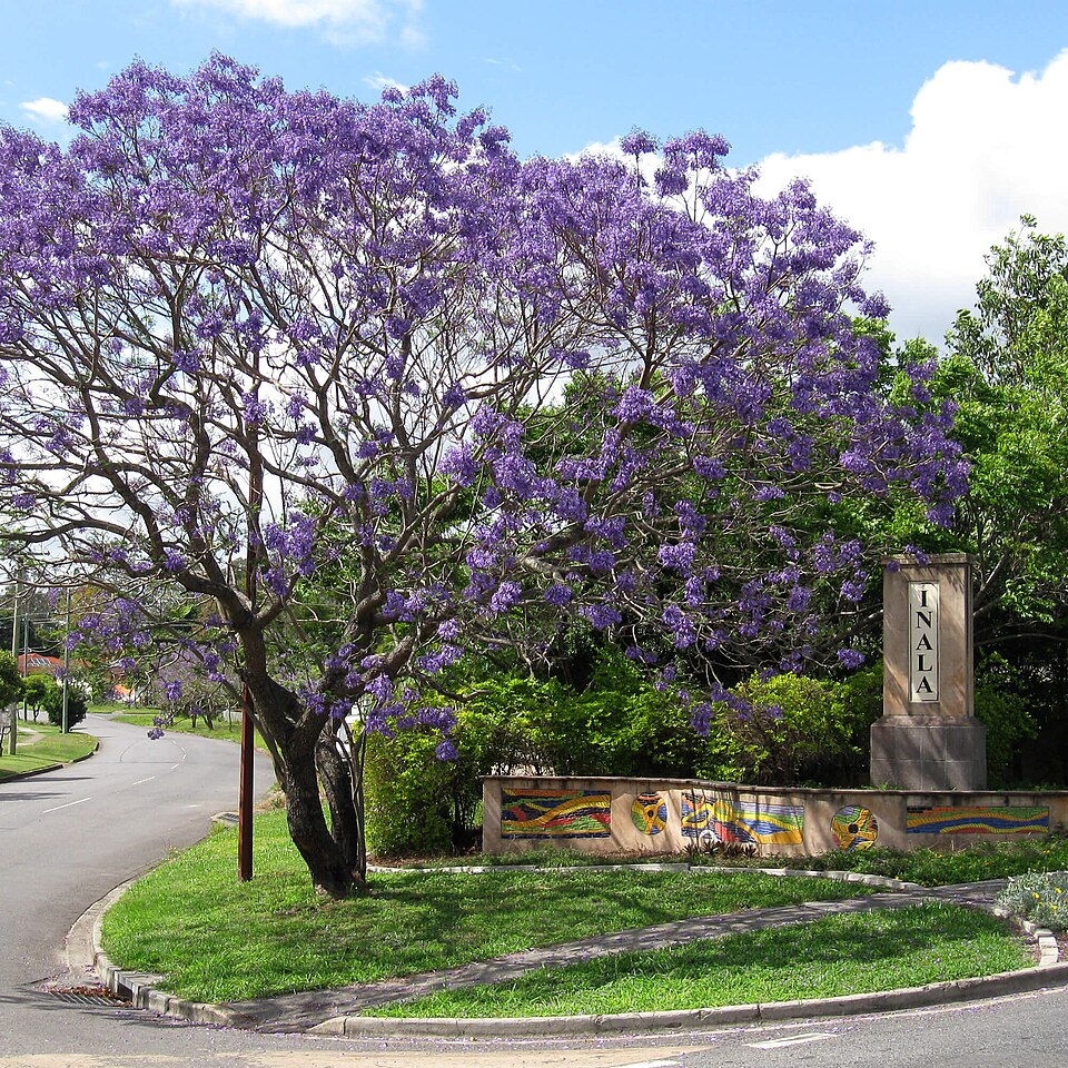 Tamarind Street, Inala, Brisbane